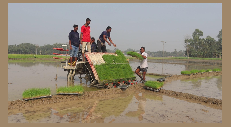 নওগাঁয় আধুনিক পদ্ধতিতে কৃষির নতুন দিগন্ত