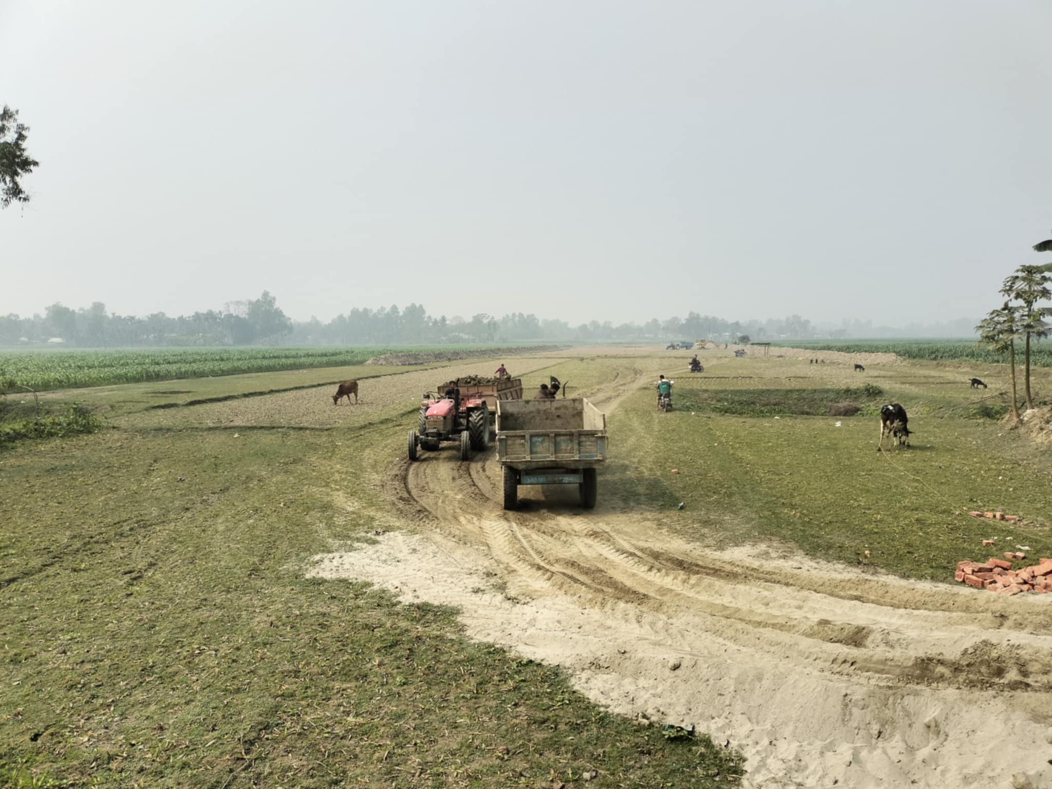 জামালপুরে বিএনপির প্রভাব খাটিয়ে কৃষি জমি থেকে মাটি উত্তোলনের অভিযোগ