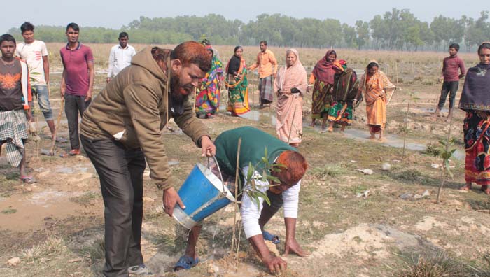 নওগাঁয় দুর্গম এলাকার ৫০ একর জমিতে বনায়ন