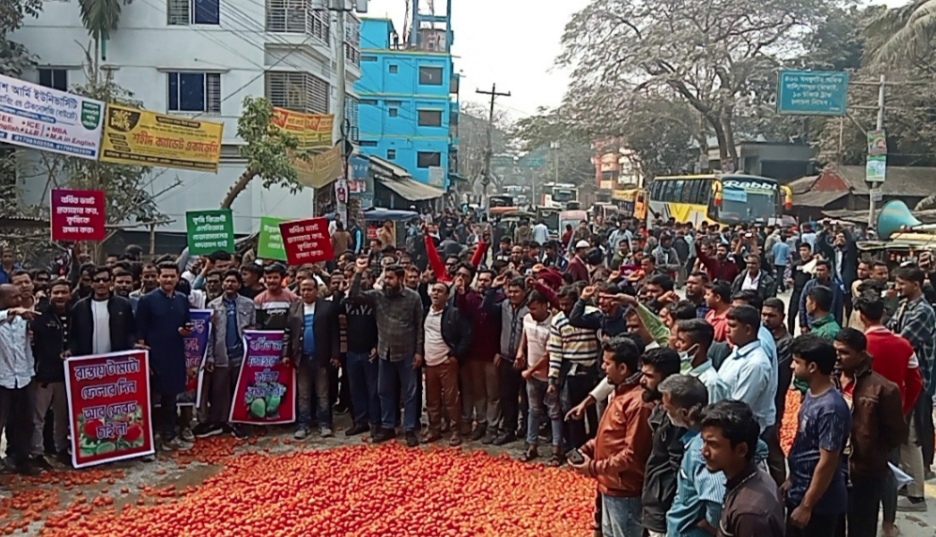 ভ্যাট-শুল্ক প্রত্যাহারের দাবিতে নাটোরে কৃষকদের টমেটো ফেলে অবরোধ