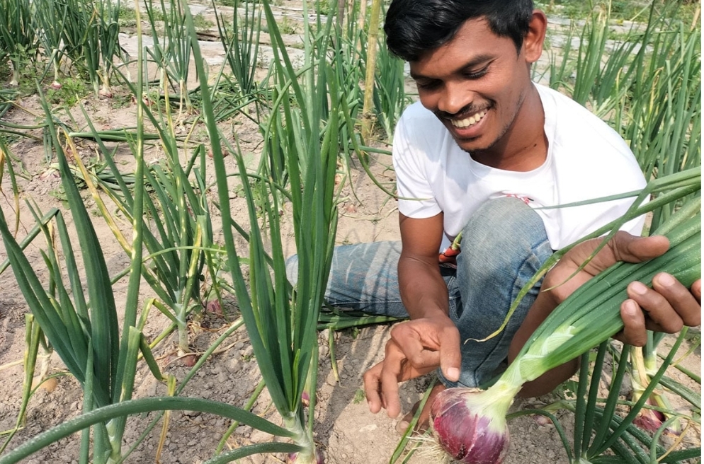 শ্রীমঙ্গলে পেঁয়াজ চাষে সাফল্যের গল্প