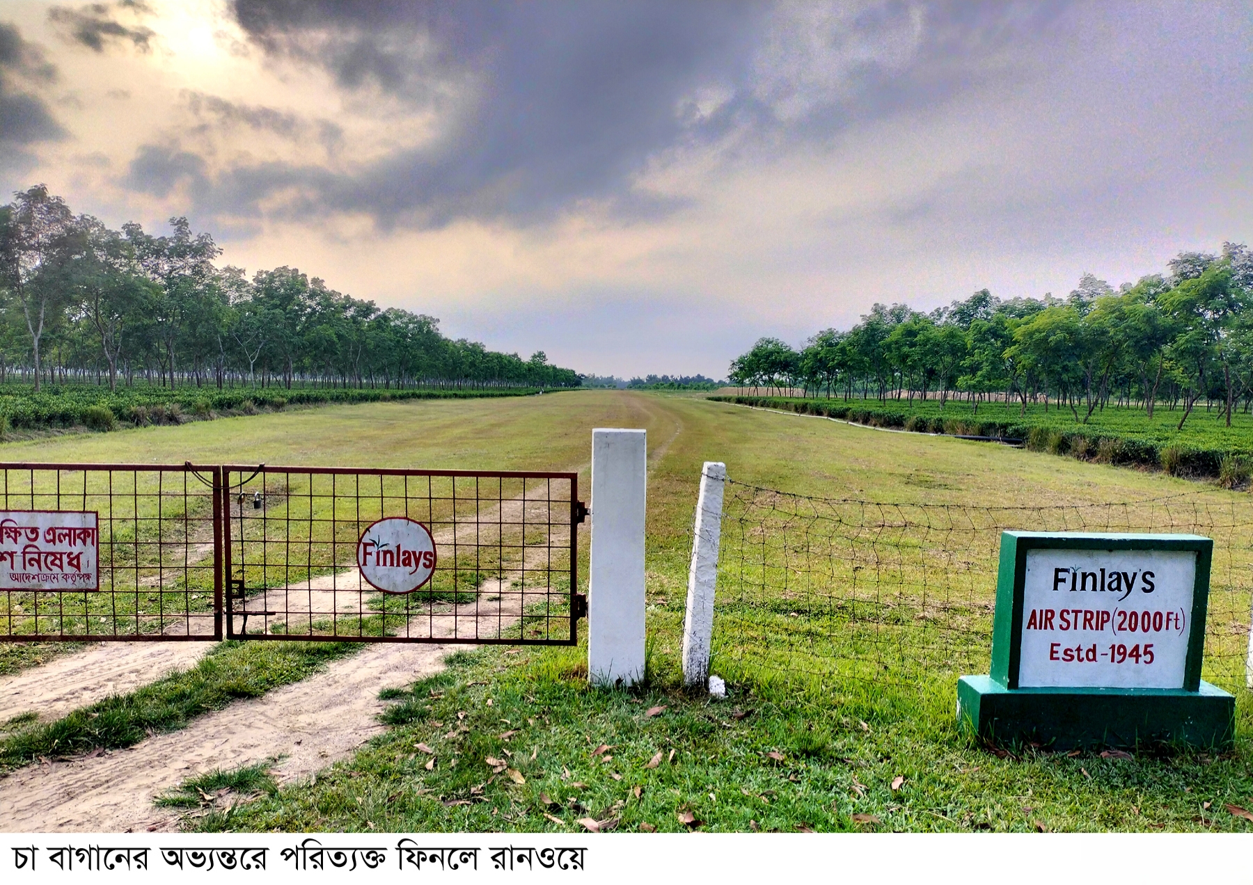 শ্রীমঙ্গলে ইতিহাসের সাক্ষী 'ফিনলে রানওয়ে'