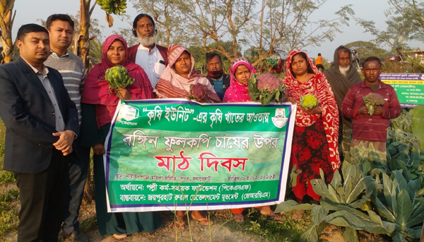 জয়পুরহাটে রঙ্গিন ফুলকপি চাষের উপর মাঠ দিবস অনুষ্ঠিত