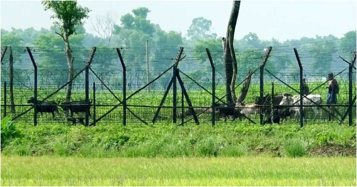 নওগাঁ সীমান্তে বাংলাদেশিকে ধরে নিয়ে গেছে বিএসএফ