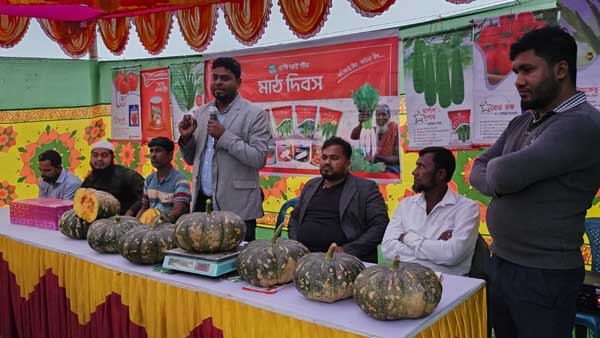 গোয়ালন্দে "সুইট স্পট" মিষ্টি কুমড়ার মাঠ দিবস অনুষ্ঠিত