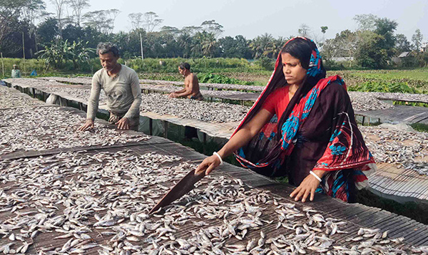 ঋণের বোঝা নিয়ে দিন কাটছে শুঁটকিপল্লীর পরিবারগুলোর