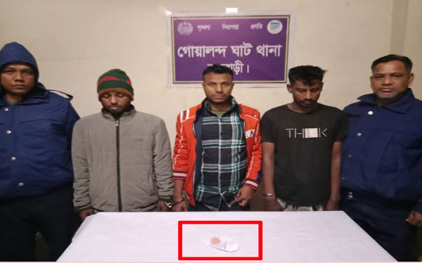 গোয়ালন্দে পৃথক অভিযানে ইয়াবাসহ গ্রেফতার ৫