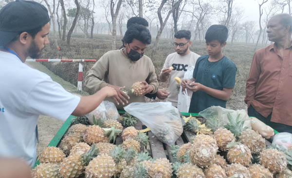 শ্রীমঙ্গলের পর্যটকদের কাছে আনারস বিক্রি করে জীবিকা নির্বাহ