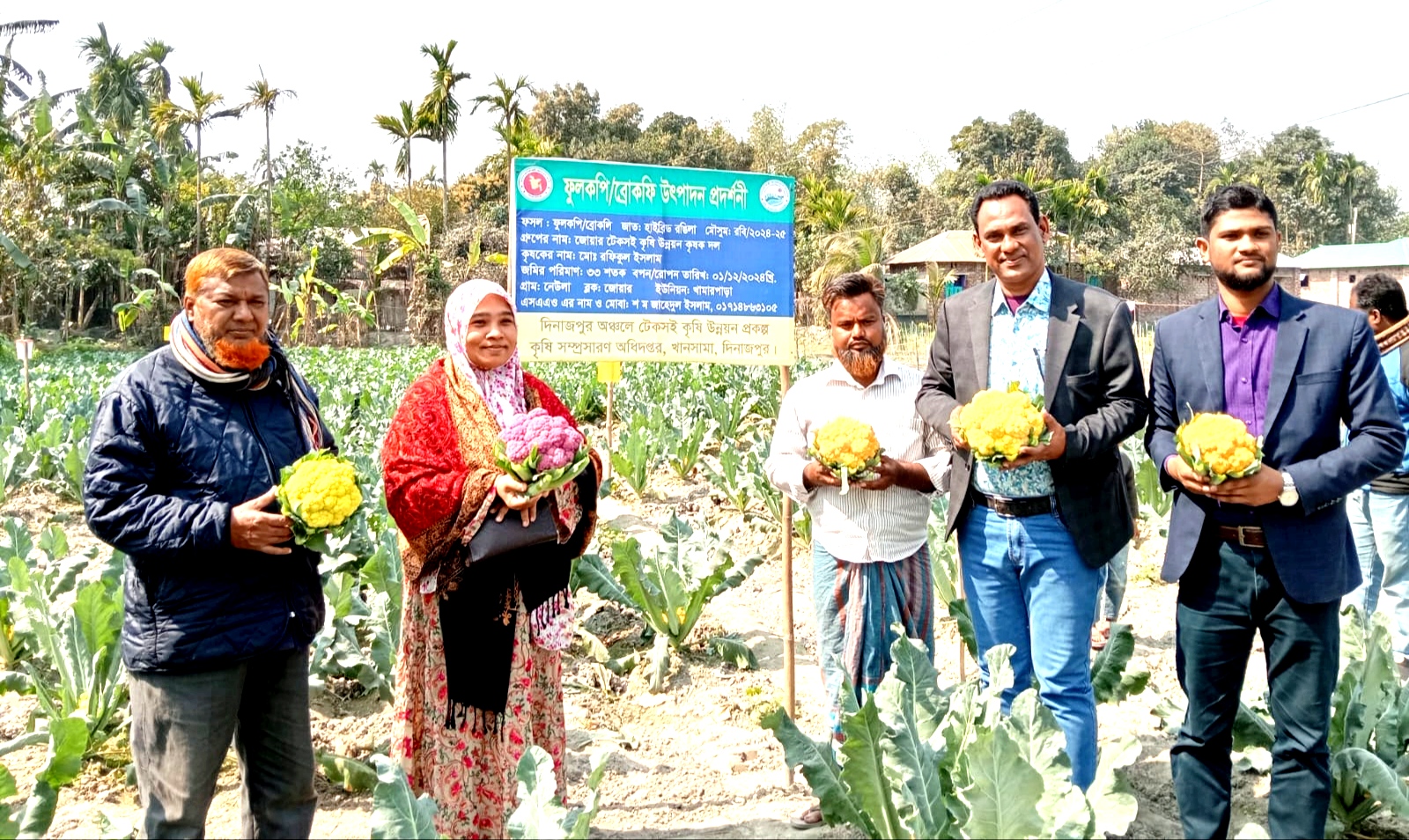 রঙিন ফুলকপিতে সফল প্রান্তিক রফিকুল ইসলাম