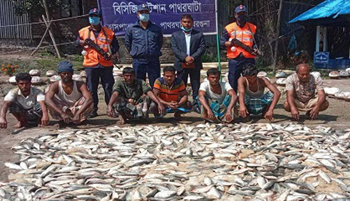 কোস্টগার্ডের অভিযানে বরগুনায় ৪০ মণ জাটকা জব্দ