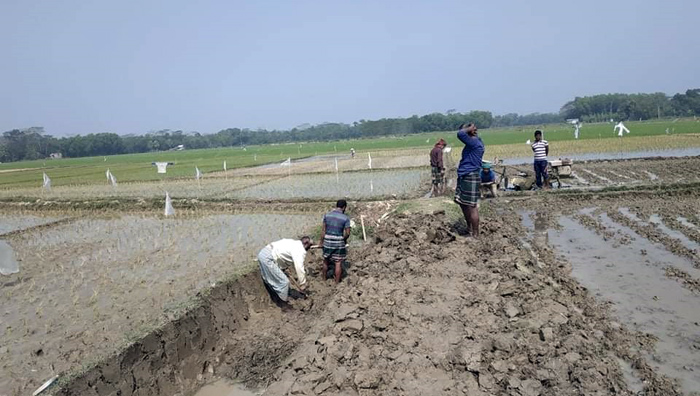 আংগারিয়া কর্মসূচি প্রকল্পের কাজের ব্যাপক অনিয়মের অভিযোগ