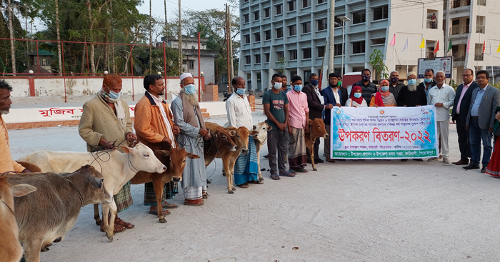 কাউখালীতে জেলেদের মাঝে গাভী বিতরণ