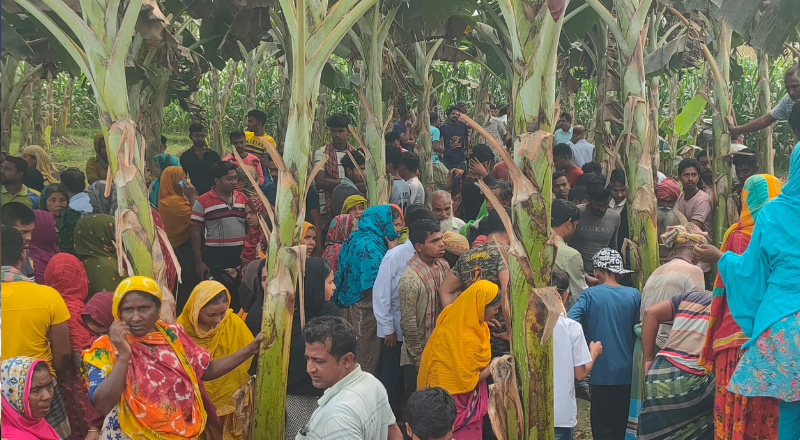 কলাবাগান থেকে ভ্যানচালকের রক্তাক্ত মরদেহ উদ্ধার