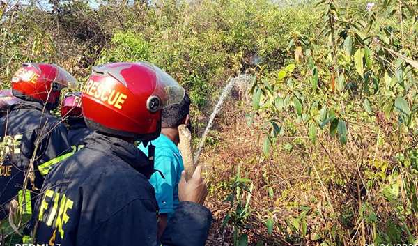 লাউয়াছড়া উদ্যানে অগ্নিকাণ্ড, এক একর বন ক্ষতিগ্রস্ত