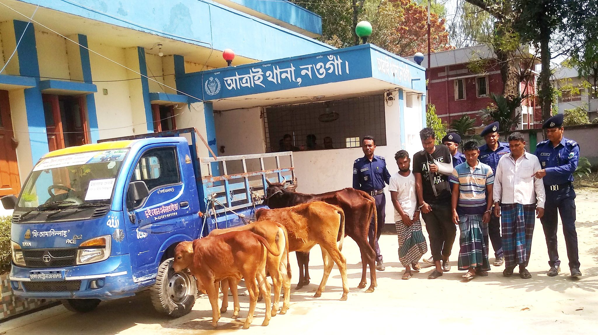আত্রাইয়ে আন্ত:জেলা গরু চোর চক্রের ৪ সদস্য গ্রেফতার, চারটি গরু উদ্ধার
