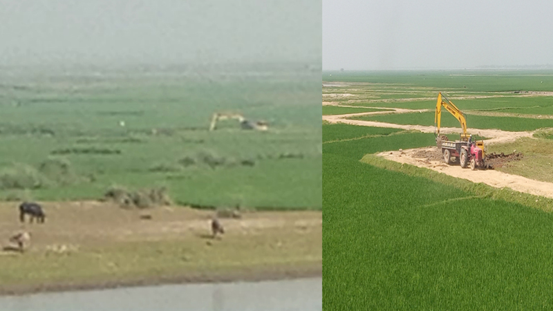 সরাইলে ফসলি জমিতে মাটি কাটার মহোৎসব!