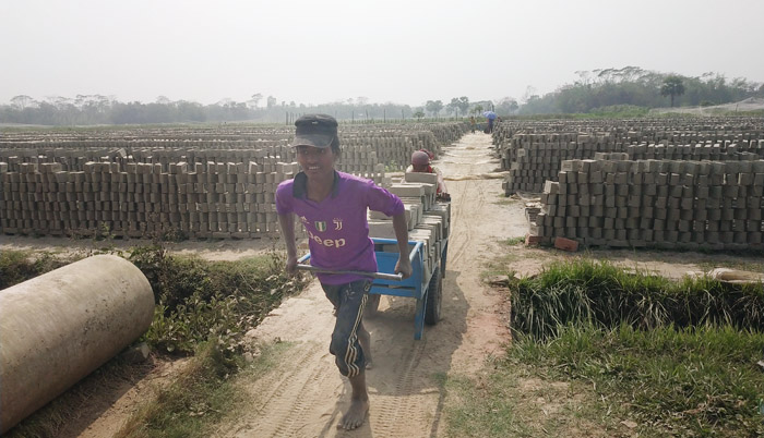 শৌলপাড়ায় জাজিরা ইটভাটায় পুড়ছে শিশুর ভবিষ্যৎ !