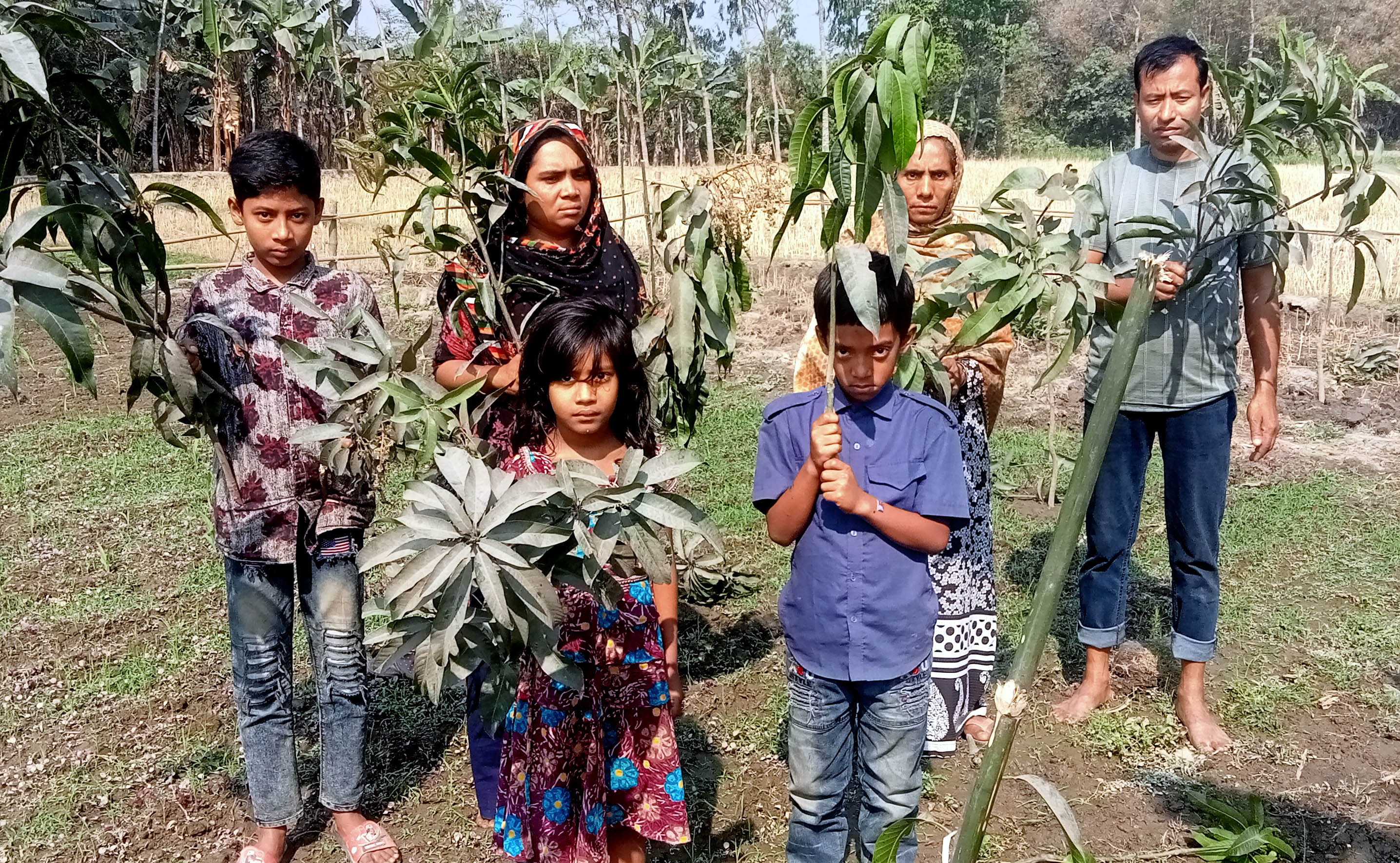 পাঁচবিবিতে গাছের সাথেও শুত্রুতা