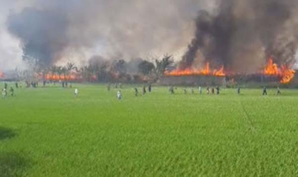 কুষ্টিয়ায় পানের বরজে ভয়াবহ অগ্নিকান্ড, নিয়ন্ত্রণের চেষ্টায় ৮ ইউনিট