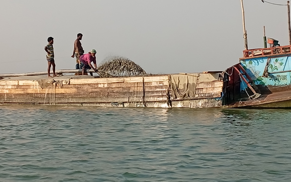 অন্তরালে অস্ত্রের মহরা ! পদ্মা নদী থেকে কোটি কোটি টাকার বালু উত্তোলন