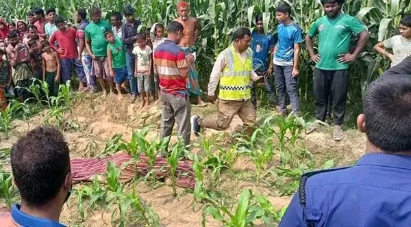 ঠাকুরগাঁওয়ে ভূট্টা ক্ষেত থেকে নারীর মরদেহ উদ্ধার, পালিয়েছে স্বামী !