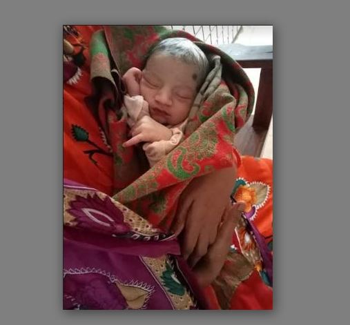 নাটোরে গম ক্ষেত থেকে জীবিত নবজাতক উদ্ধার