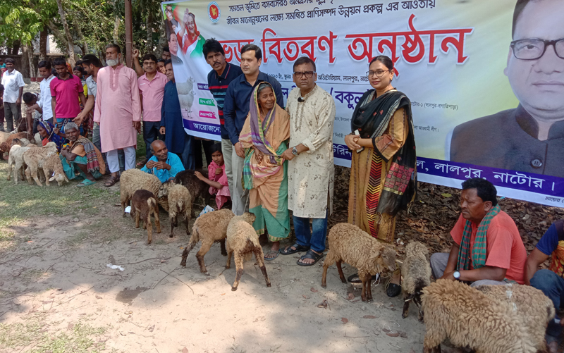 লালপুরে ভেড়া, গরু ও অনুদানের চেক বিতরণ