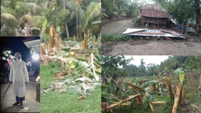 মেহেন্দিগঞ্জে বসত ঘর ও ফলজ গাছ কর্তনের অভিযোগ