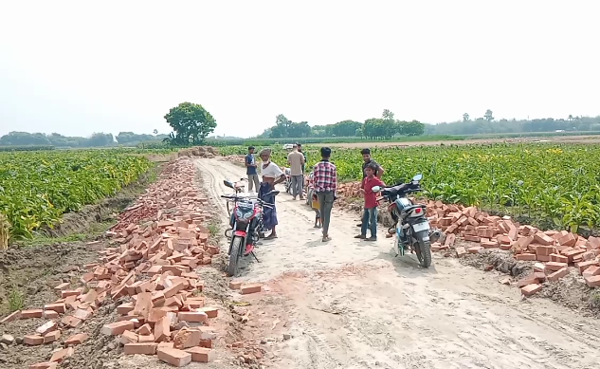 মেহেরপুরে নিম্নমানের সামগ্রী দিয়ে রাস্তা তৈরীর অভিযোগ