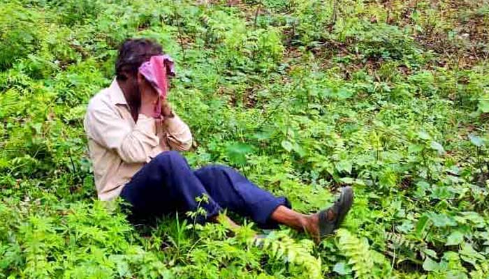 জেলা পরিষদের ডাকবাংলো চত্বরে কুকুরকে ধর্ষণ !