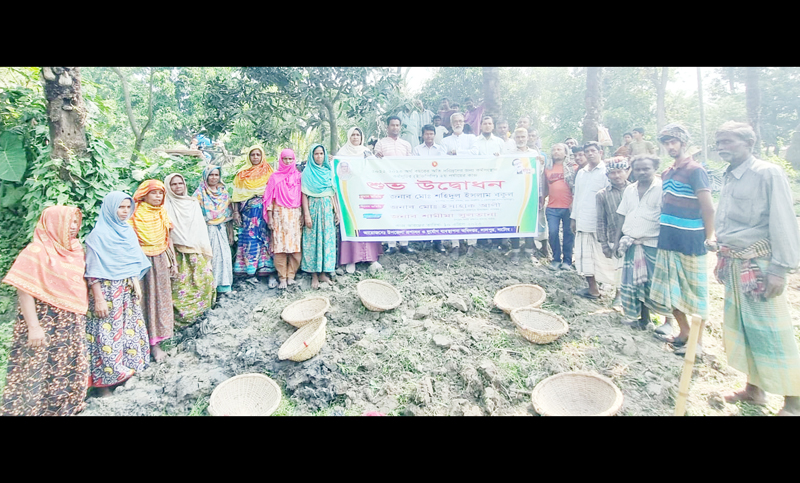 লালপুরে কর্মসংস্থান কর্মসূচির প্রকল্পের ২য় পর্যায়ে কাজের উদ্বোধন