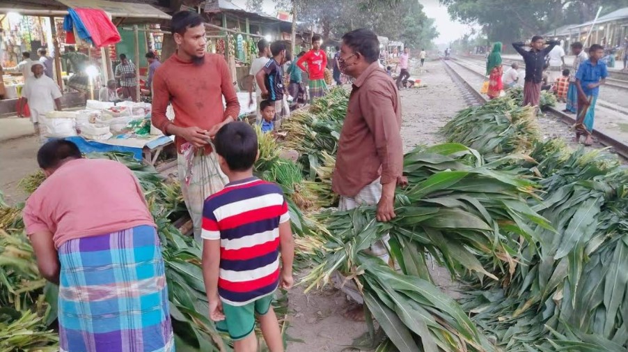 লালমনিরহাটে পাতার হাট!