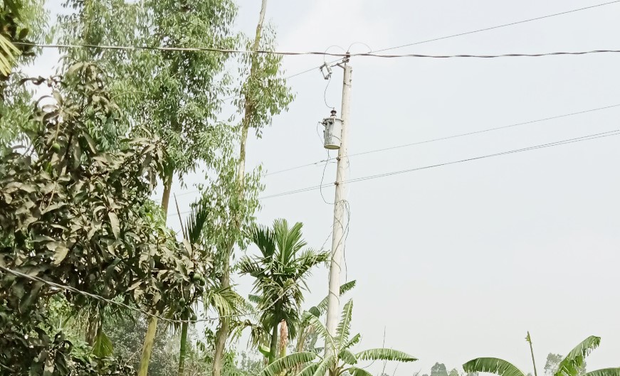 পল্লি বিদ্যুৎতের হয়রানির শিকার বহু গ্রাহক