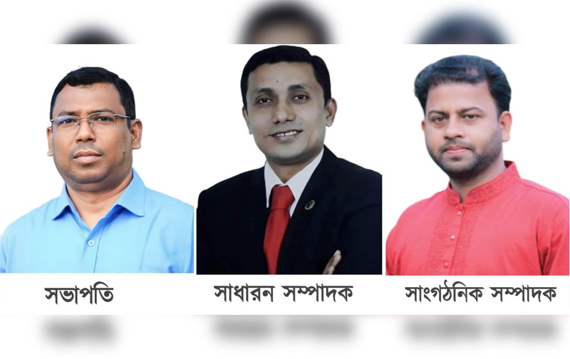 দেবীদ্বার উপজেলা প্রেসক্লাবের কমিটি গঠন, সভাপতি-বাবুল, সম্পাদক-সাইফুল