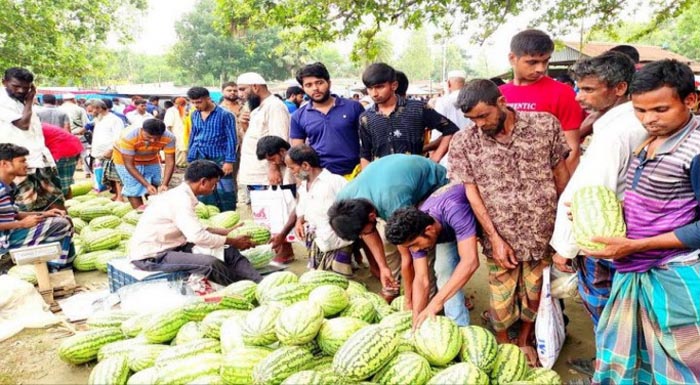 ৪০ টাকা কেজির তরমুজ এখন ২০ টাকা পিস!