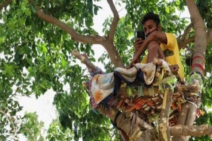 গাছের ডালে আ'ইসোলেশনে যুবক !