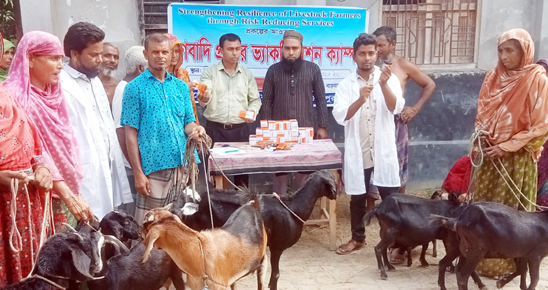 পাঁচবিবিতে দিনব্যাপি ফ্রি পশু চিকিৎসা ক্যাম্প অনুষ্ঠিত