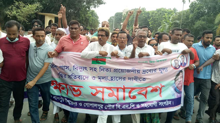 লালপুুরে বিএনপির বিক্ষোভ সমাবেশ