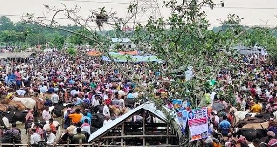 কুষ্টিয়ায় প্রতিদিন বাড়ছে করোনা রোগীর সংখ্যা