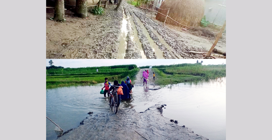 চরমজলিশপুরে রাস্তা তো নয়, যেন ধান চাষের জমি !