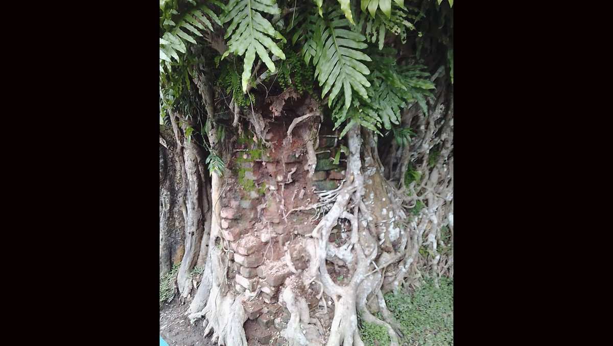 বারহাট্টায় শতবর্ষী মঠ রক্ষার দাবীতে লিখিত আবেদন