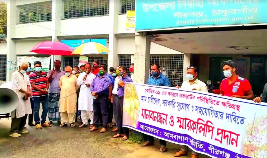 ঠাকুরগাঁওয়ে ক্ষতিগ্রস্ত আমচাষীদের মানববন্ধন