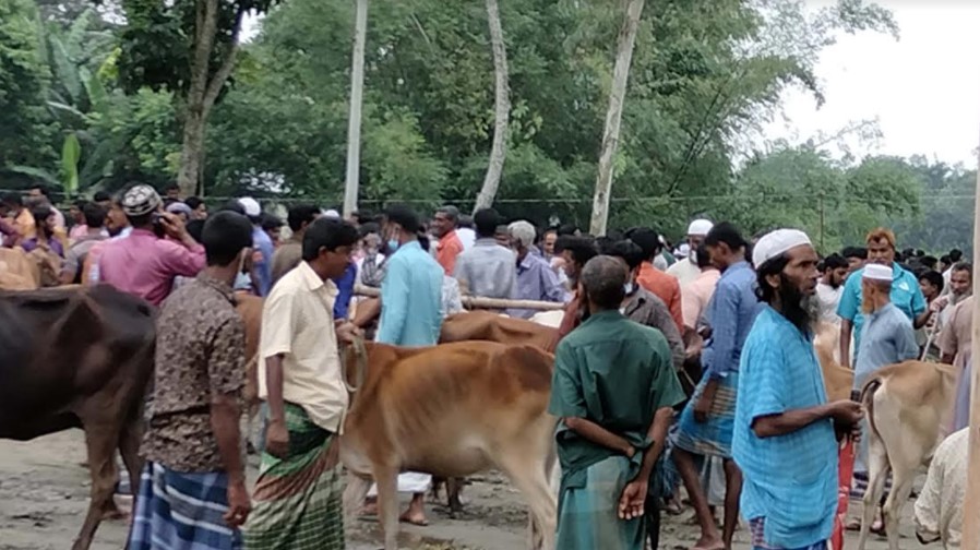 লকডাউনেও চলছে গো-হাট: নেই স্বাস্থ্যবিধির বালাই!