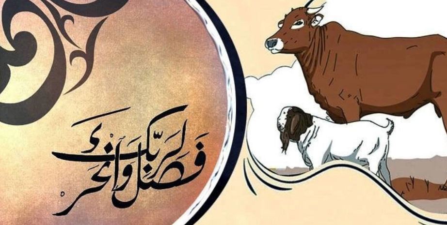 কুরবানি না করে সমপরিমাণ টাকা গরিবদের দেওয়া যাবে কি?