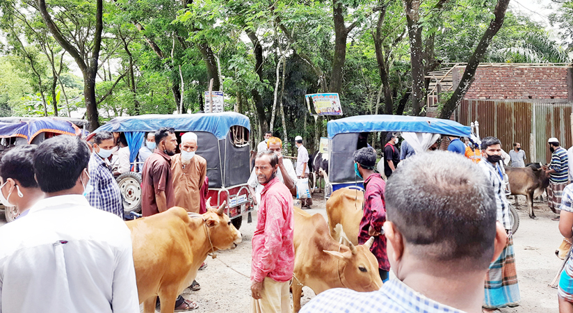 বরগুনায় হাসপাতালের পাশে পশুর হাট (!) স্বাস্থ্য ঝুঁকি