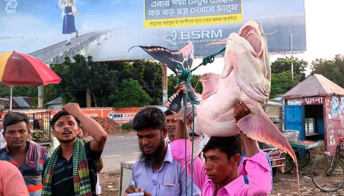 জেলের জালে ধরা এক বাগাইড় ২৭ হাজারে বিক্রি