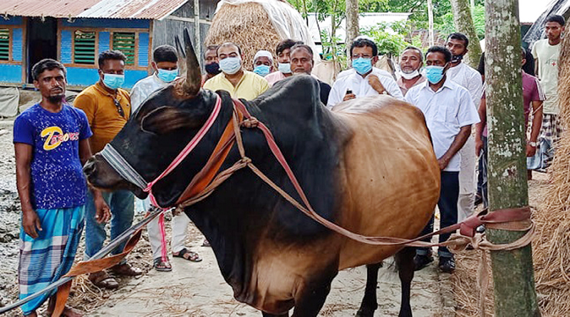 ‘রাজাবাবু’ কোরবানি হবে  প্রধানমন্ত্রীর নামে