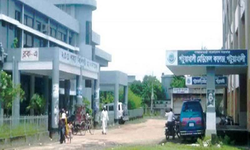 পটুয়াখালীতে কুকুরের কামড়ে শিক্ষকসহ আহত ১৫