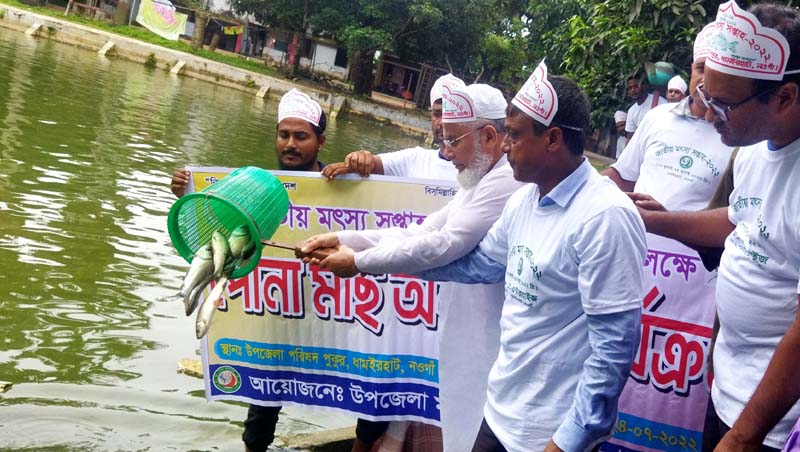 ধামইরহাটে জাতীয় মৎস্য সপ্তাহ পোনা অবমুক্ত