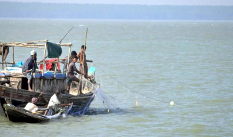 পটুয়াখালীতে ভরা মৌসুমেও ইলিশের অভাব, দুশ্চিন্তায় জেলেরা